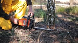 Best Aeration Services  in Bear Creek, AK