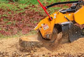 Best Tree Health Inspection  in Bear Creek, AK