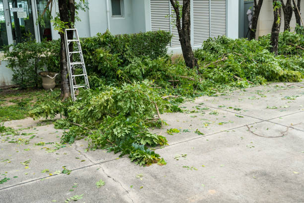 Best Pest Control for Lawns  in Bear Creek, AK